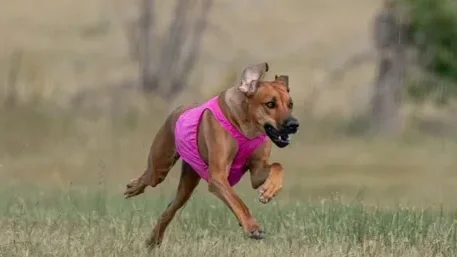 More+Trudy.webp