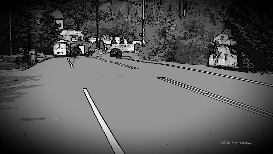 curving road bw.jpg