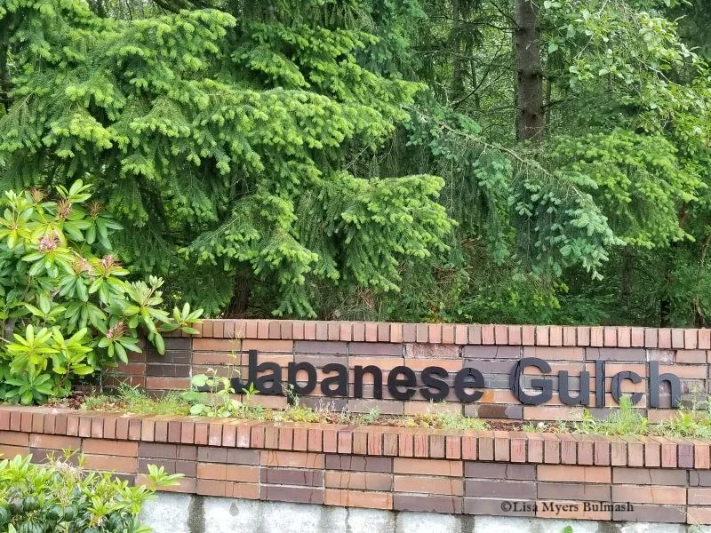 20180610_172553 - Copy.jpg