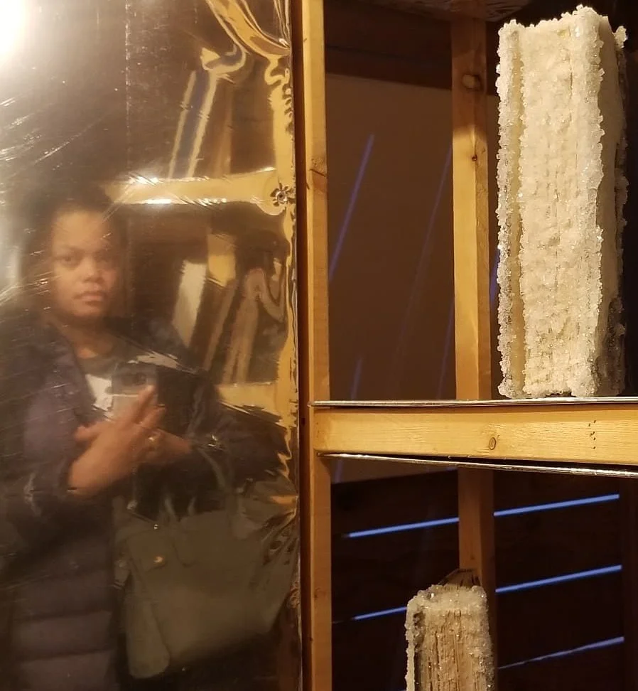 "Library of Black Lies" at the Henry