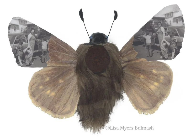 Detail of dotted skipper-human hybrid, “Rare & Exquisite #4” by Lisa Myers Bulmash