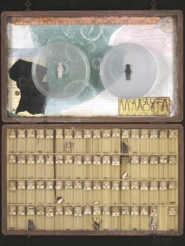Biospecimens of North America (Copy)