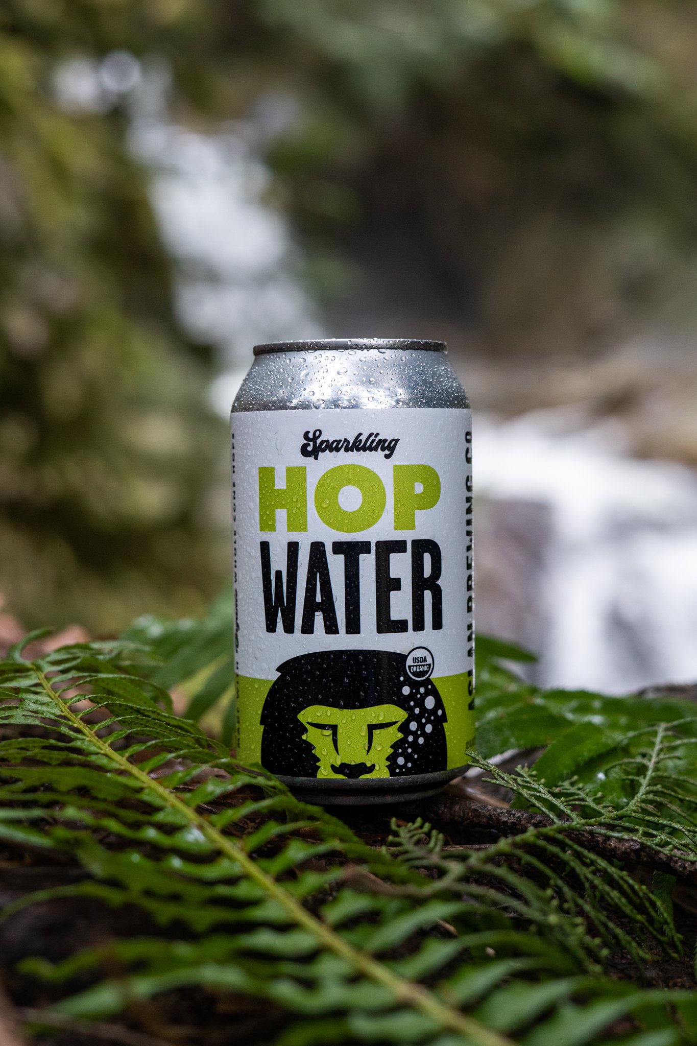 Sparkling Hop Water — Aslan Brewing Co.