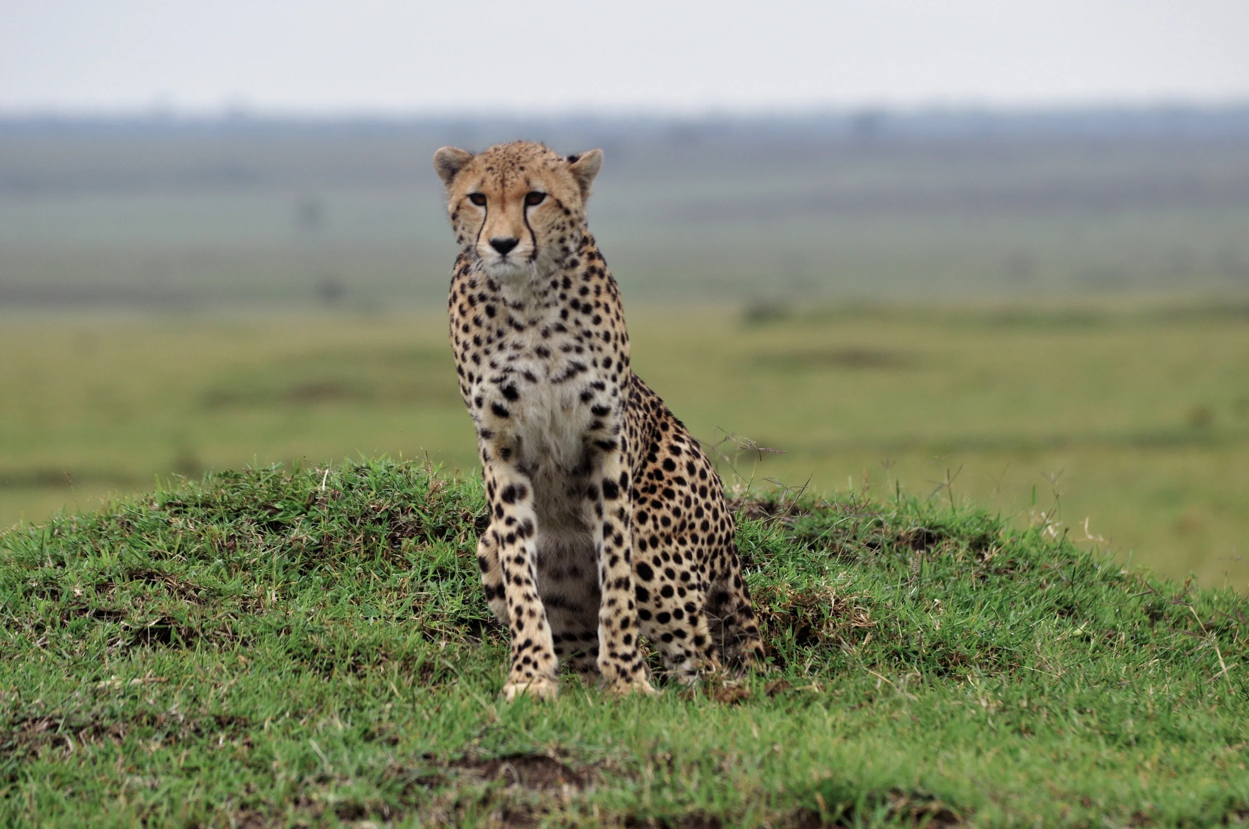DSC_2836.JPG