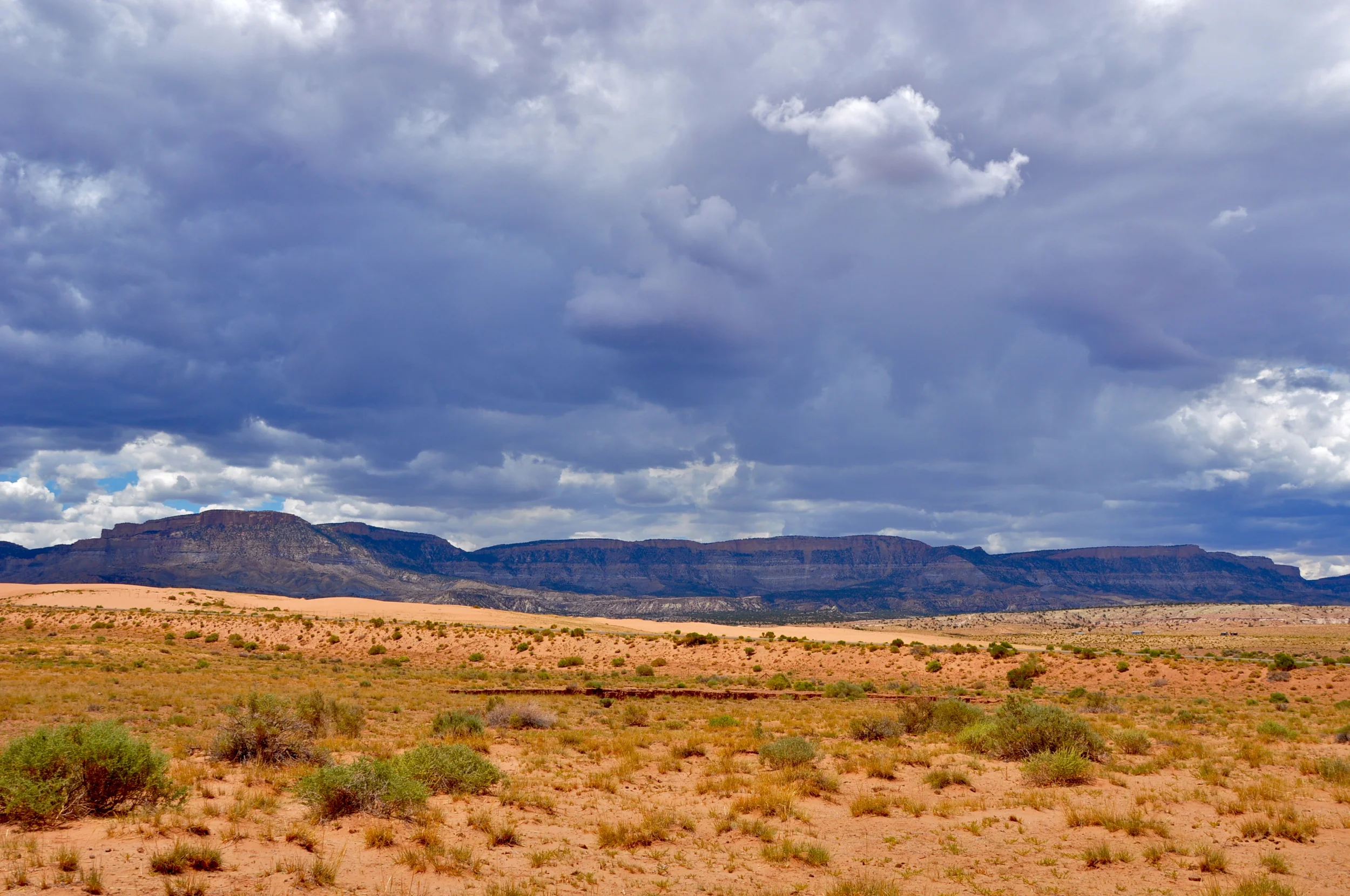 Desert Rainstorm Brewing
