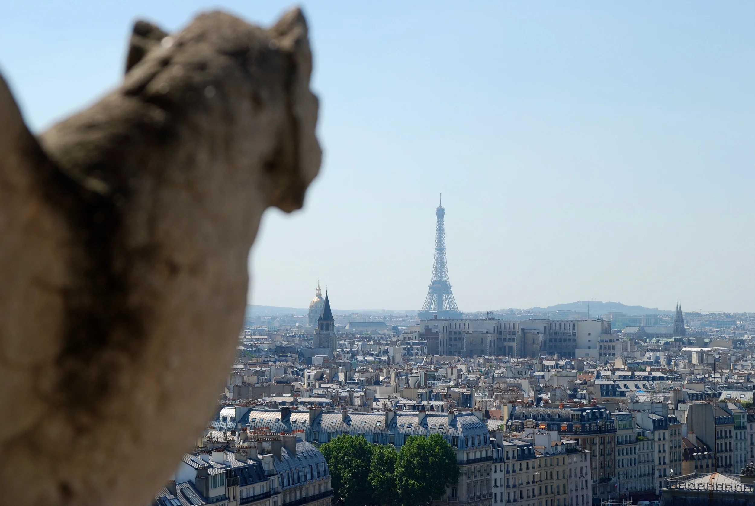DSC_0154_4.JPG