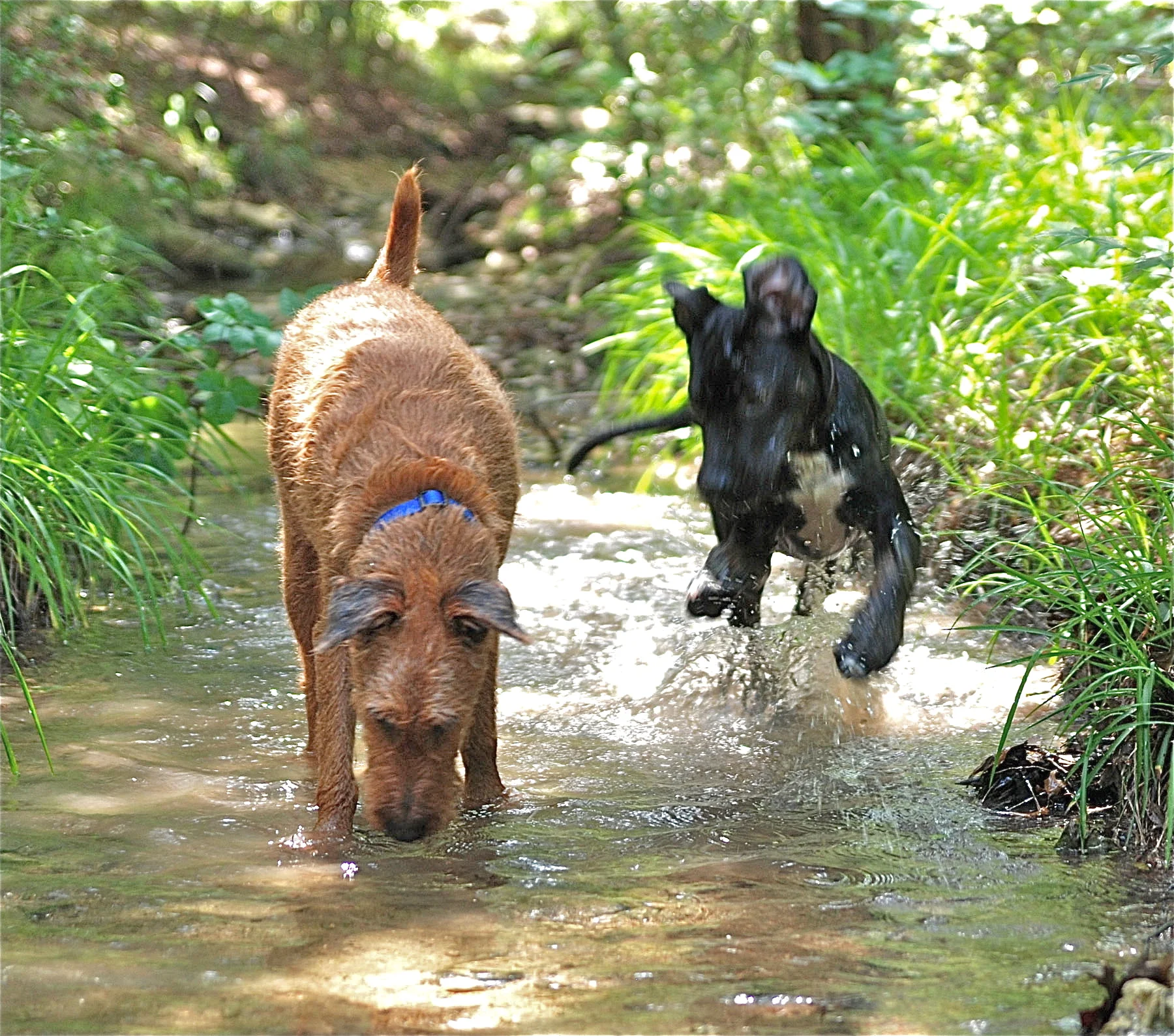 DSC_0144.JPG