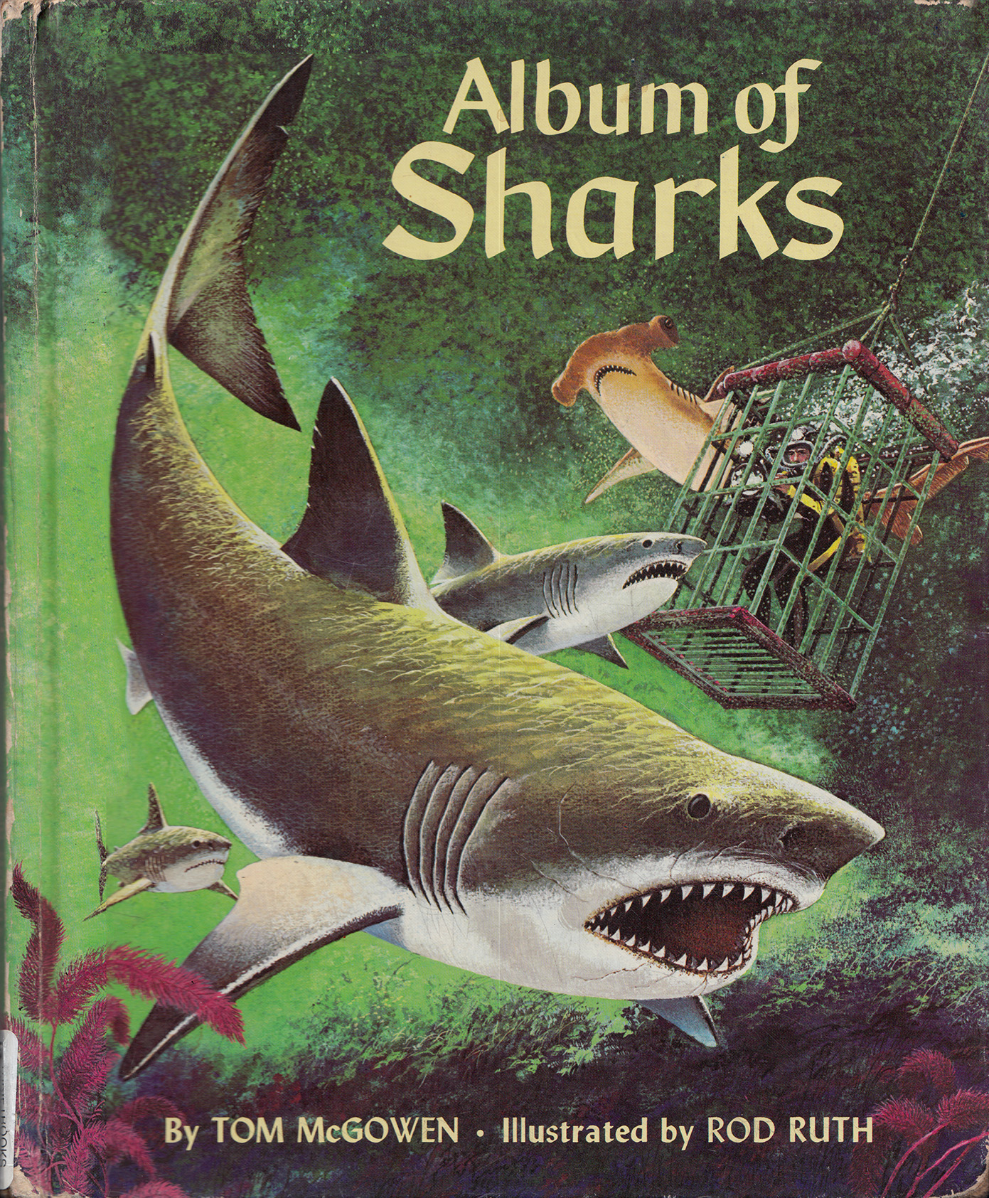 AlbumOfSharks_cover.jpg