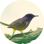  TONY PIEDRA .COM | Welcome to the Home of Kid&#39;s Book Author &amp; Illustrator, Tony Piedra.   