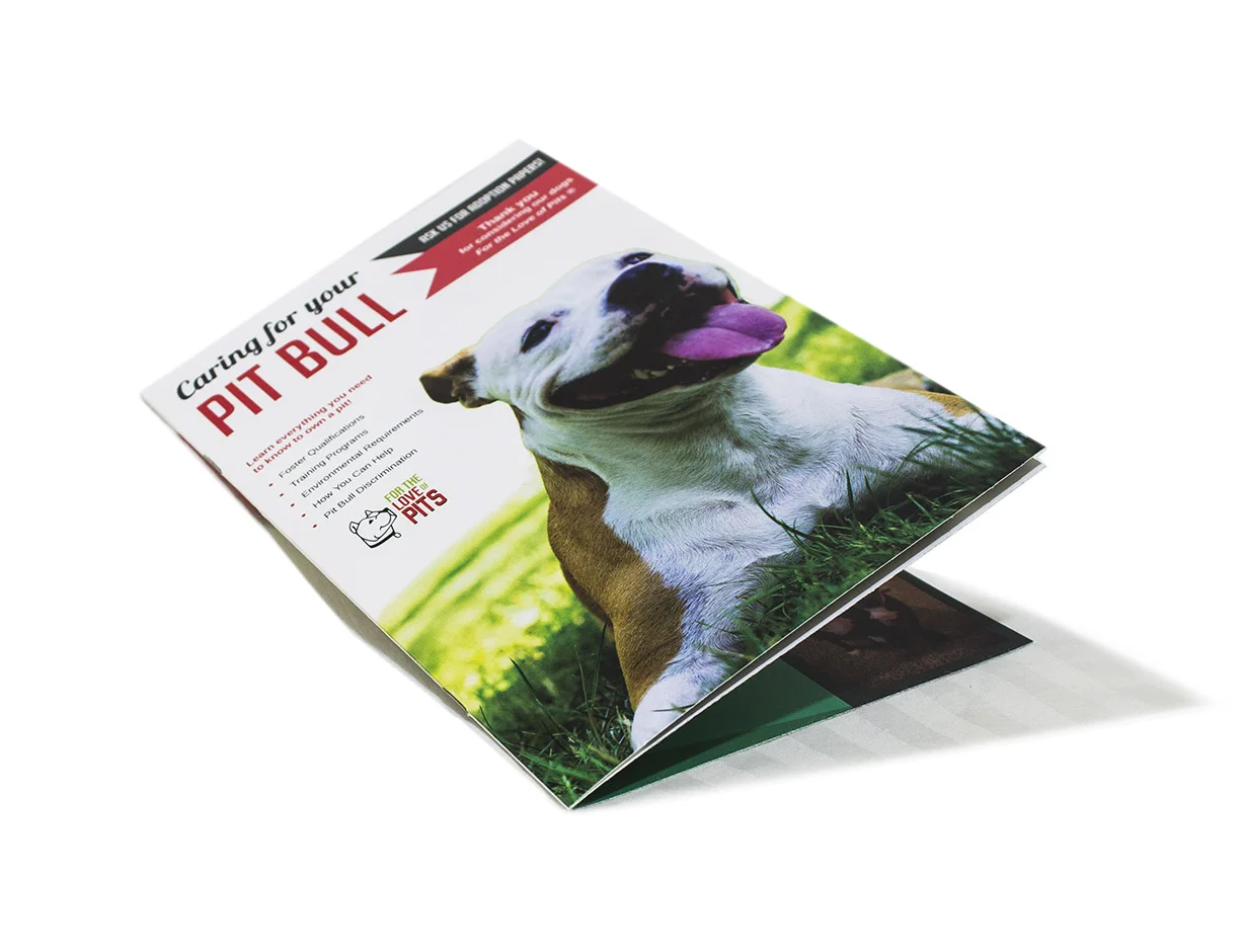 FTLOP Brochure Mock.jpg