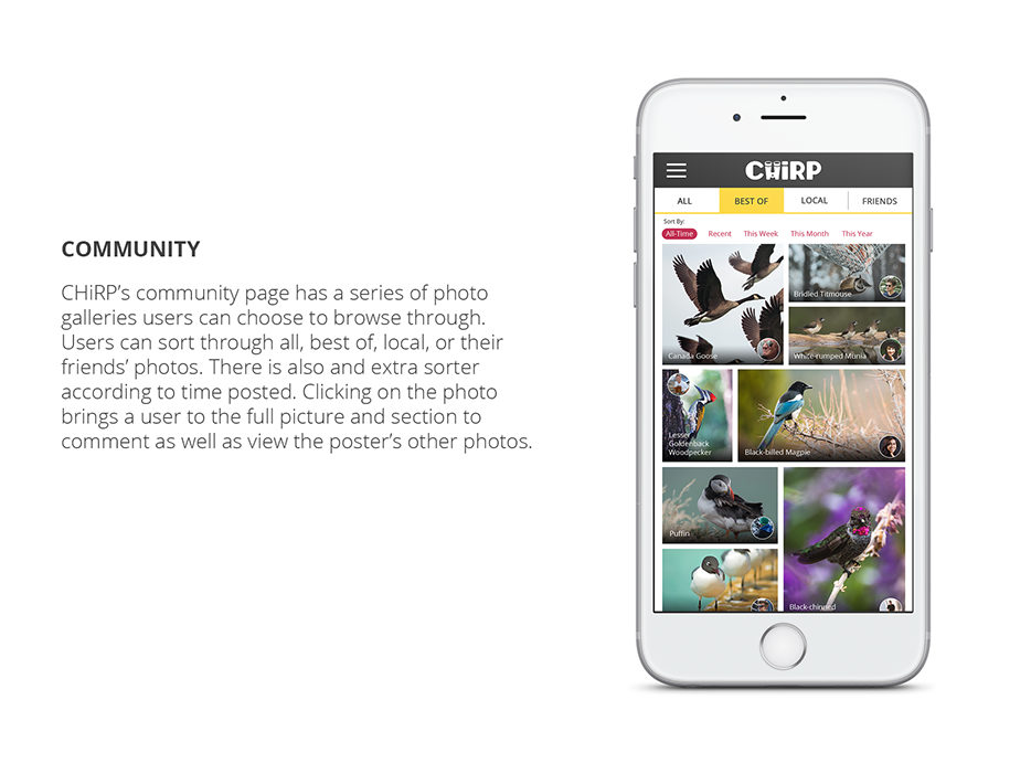 Chirp - Community-website.png