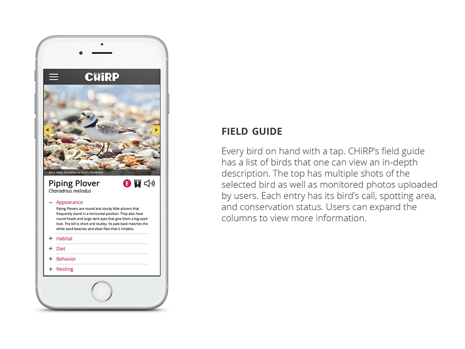 Chirp - Field Guide.png