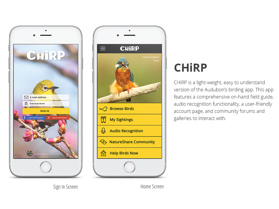 Chirp Sign in and Home.png