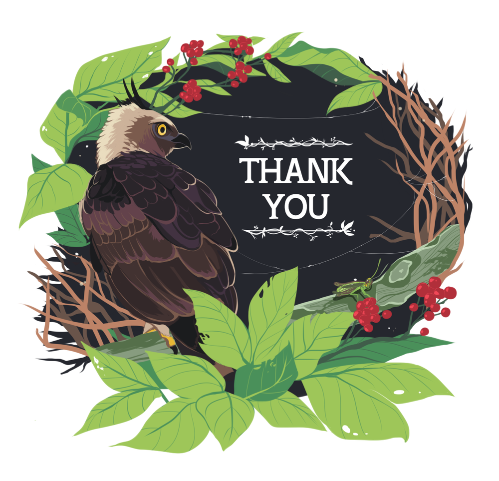 Hawk Thank You Card