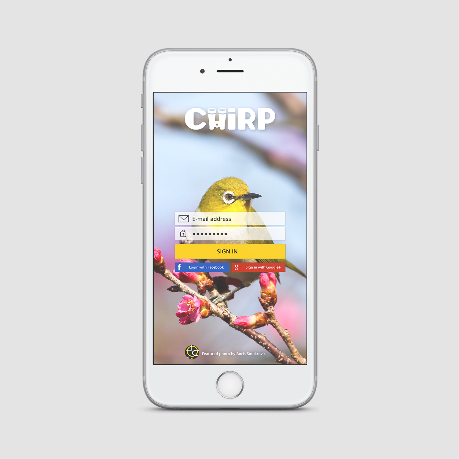 Chirp Sign In Mockup.png