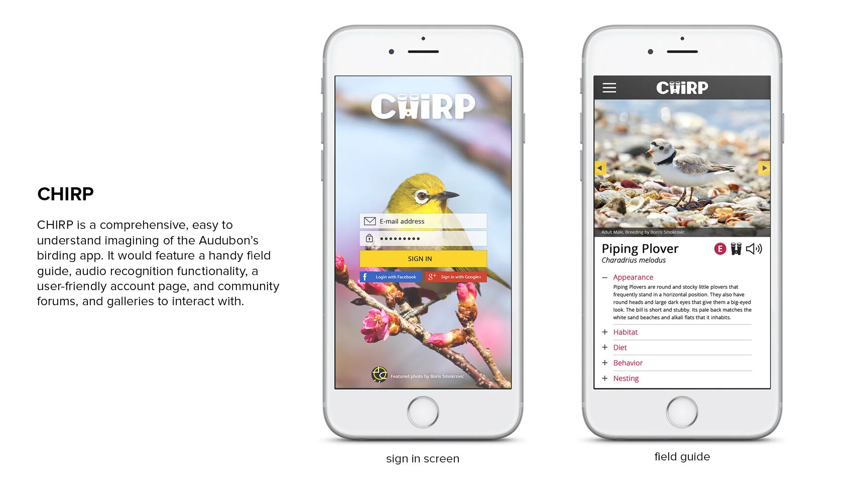 Chirp - Compilation PT 1.jpg