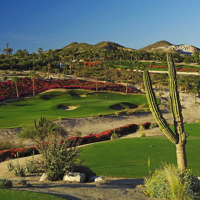Palmilla_Ocean_4_R.jpg