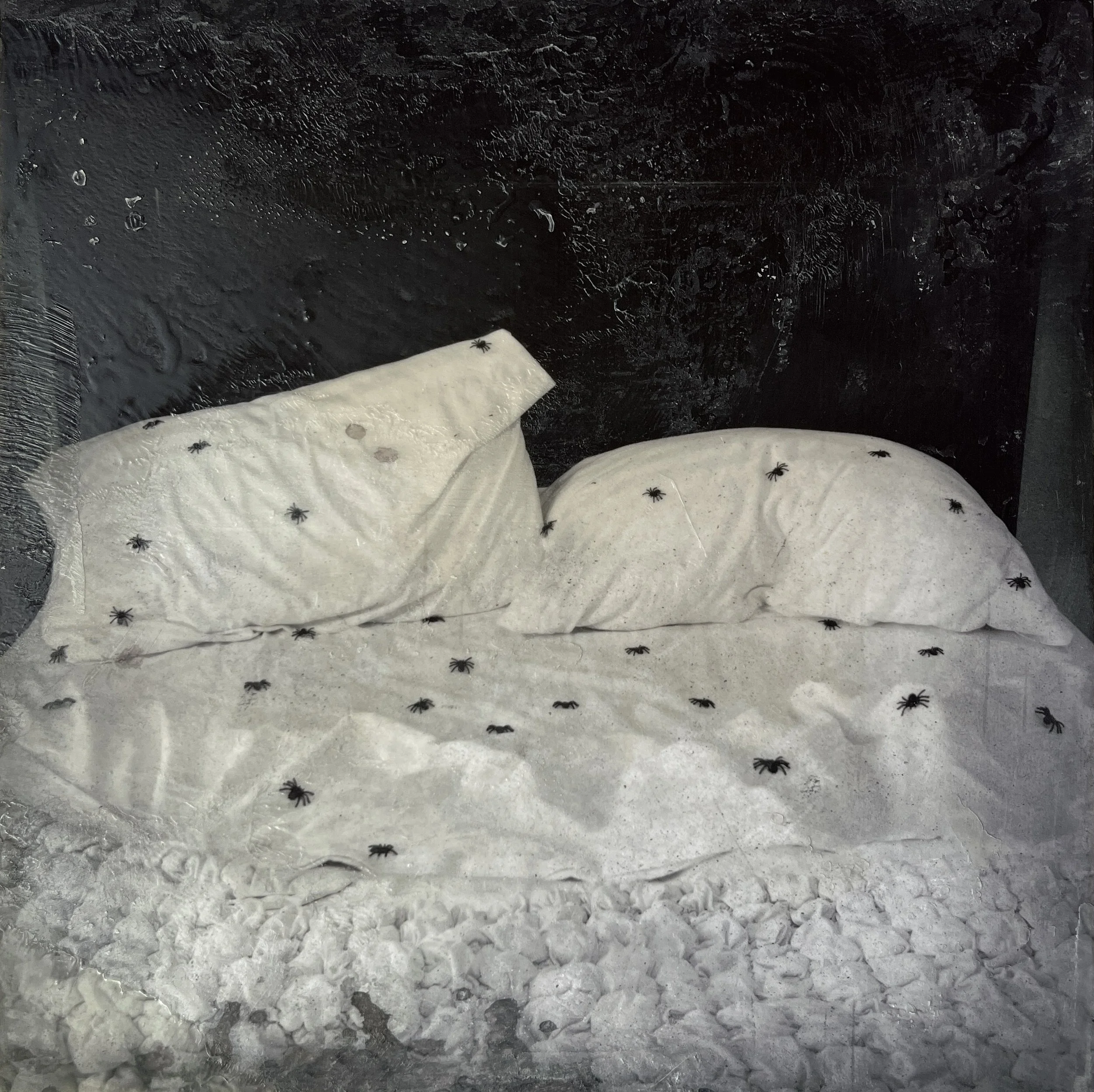 Spiders in My Bed