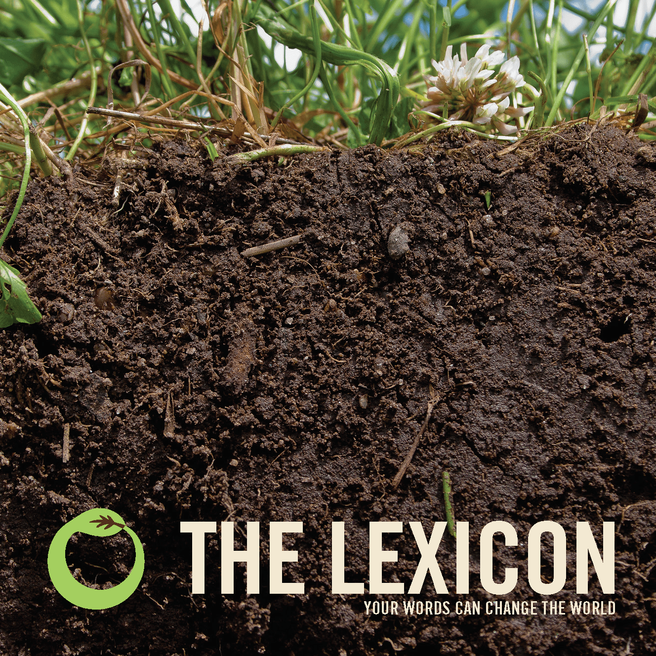 Lexicon-Media Kit-v.2_Page_01-min.png