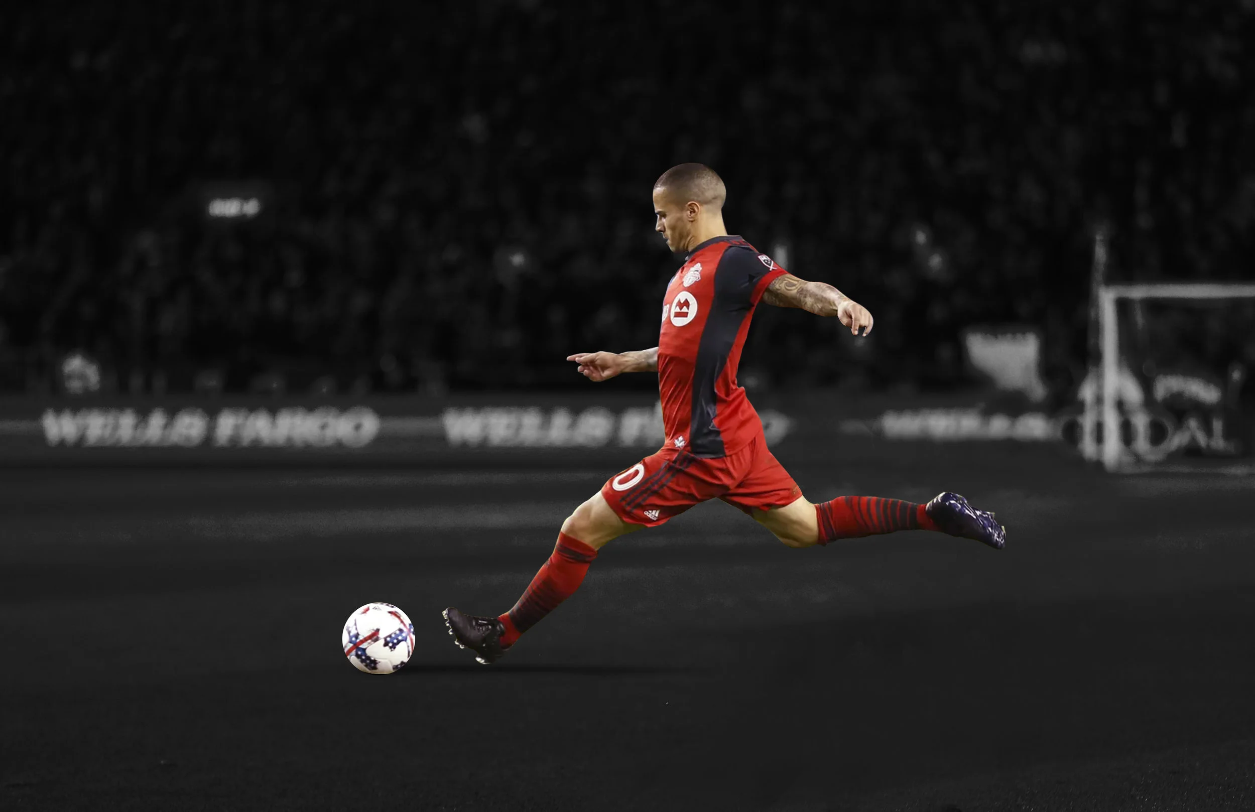 Seba_SG3_2.jpg
