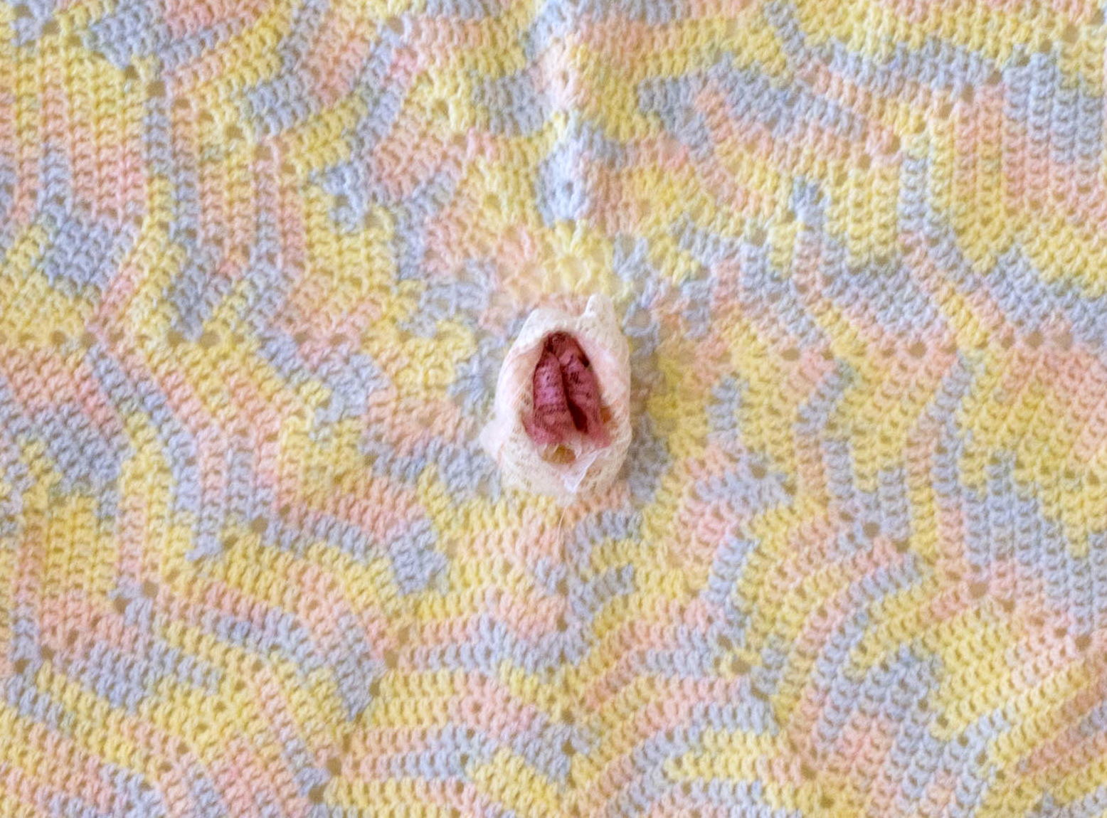 Notchdetail.jpg