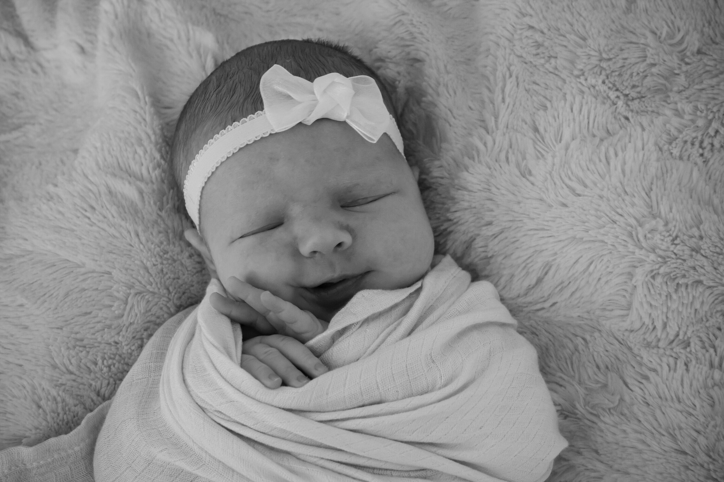 madison 3wk-1109-2.jpg