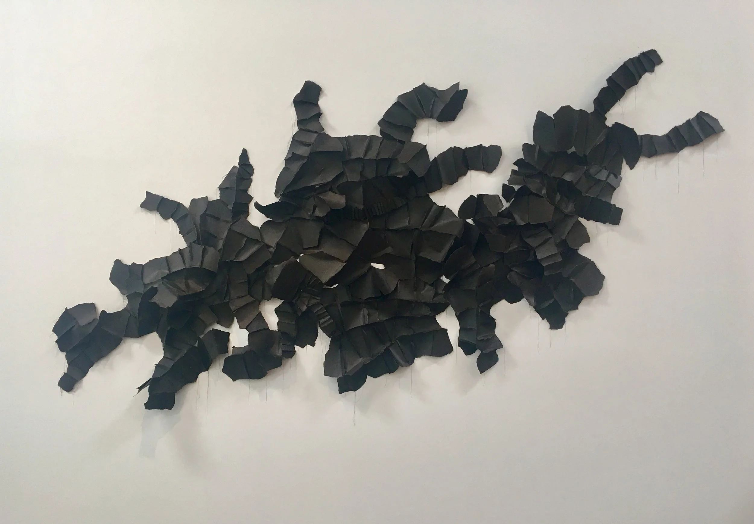 Welling_Murmuration.jpg