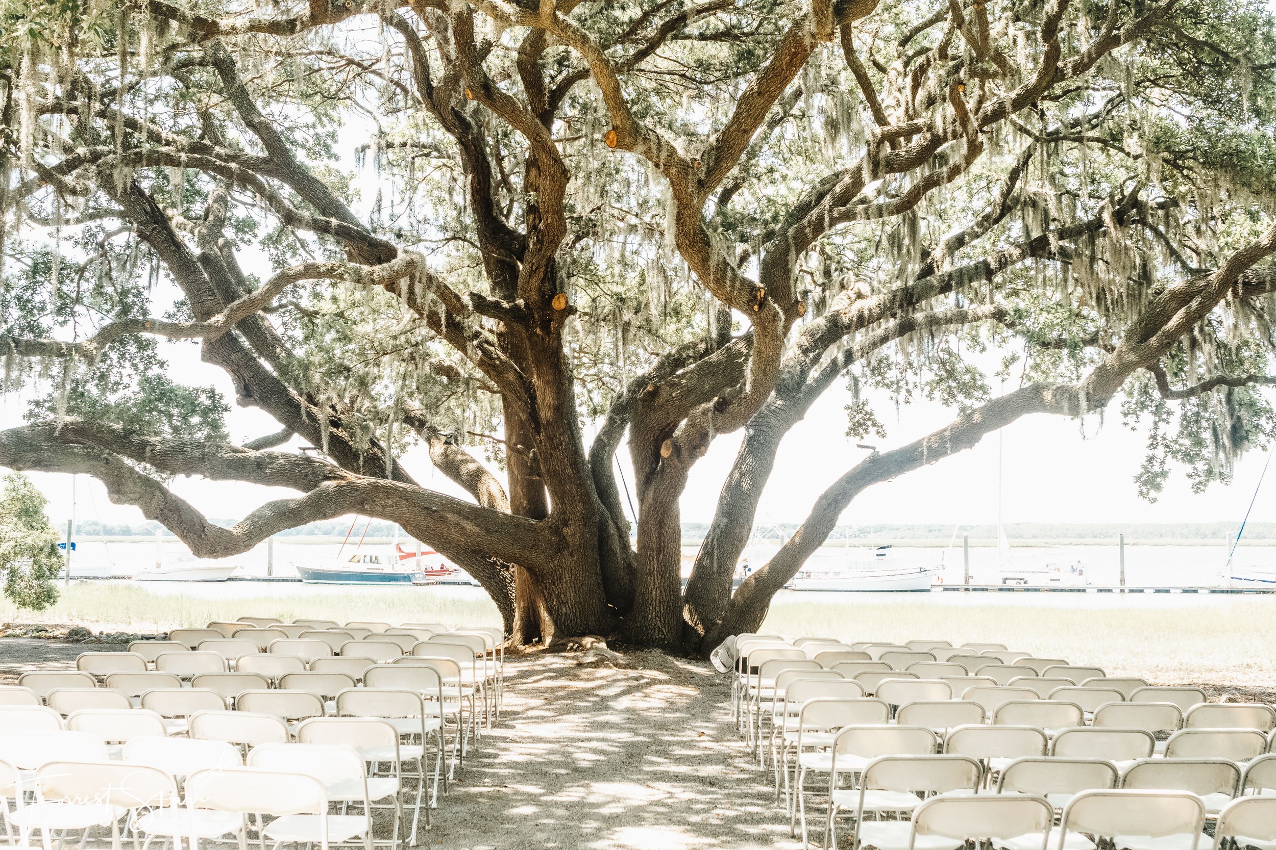 S&S Wedding 6.8.24 #1.jpg