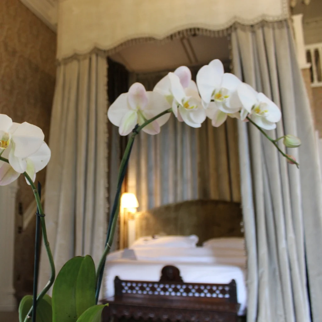 The room I never wanted to leave at Ashford Castle - Ireland