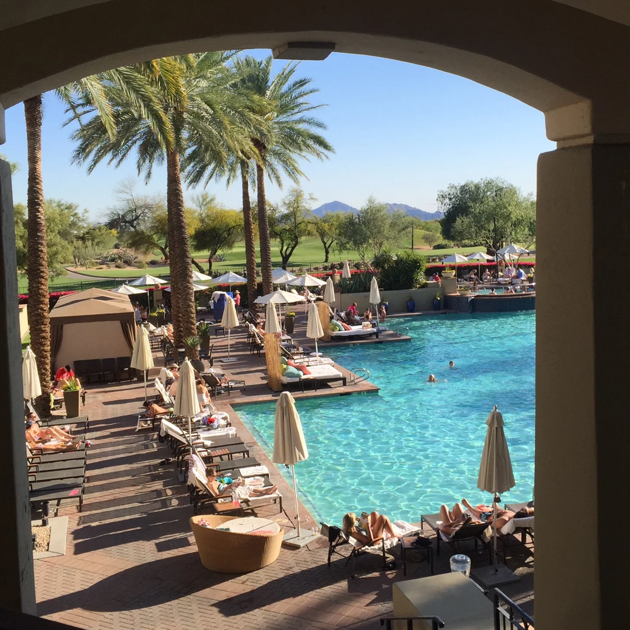 Visiting my hometown of Scottsdale, Arizona during orange blossom season!