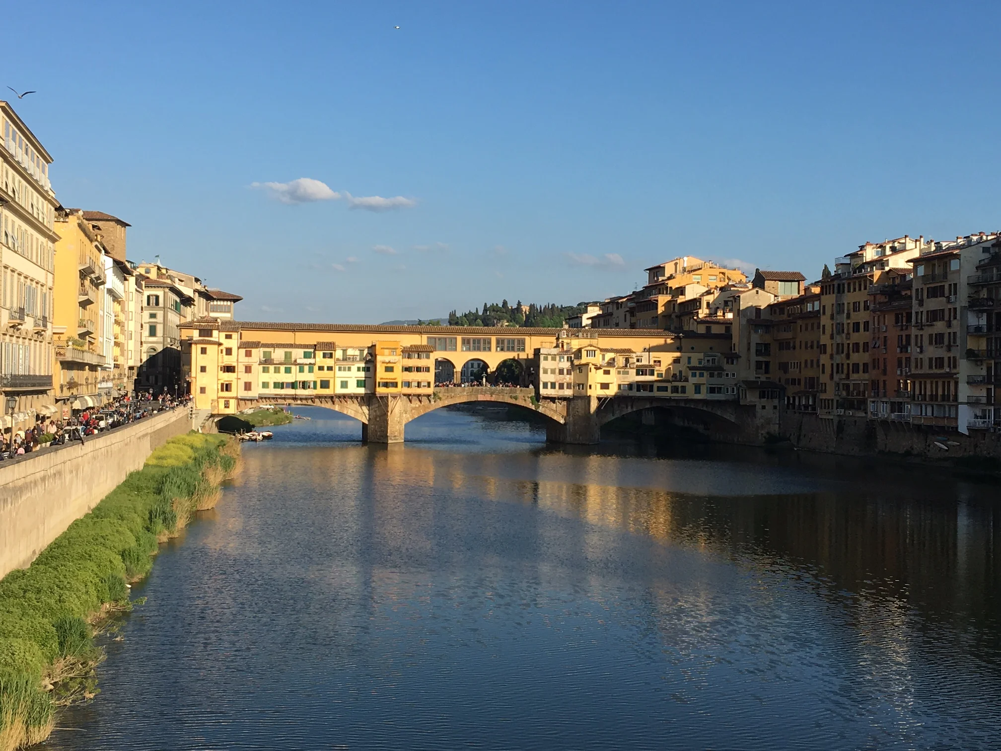 florence.jpg
