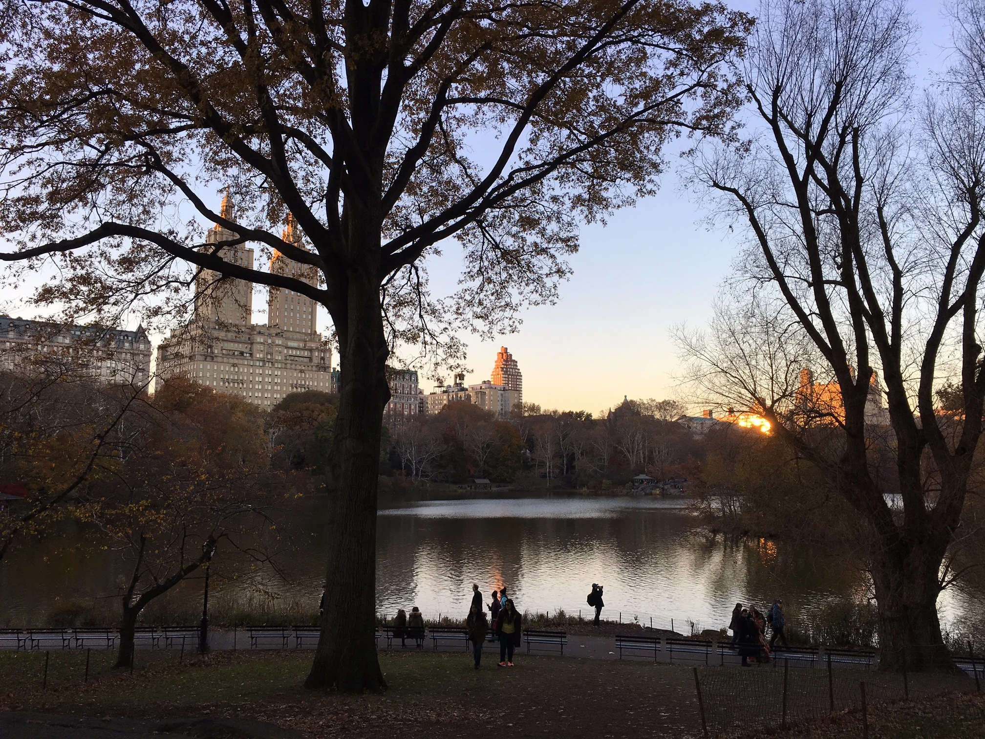 Central Park.