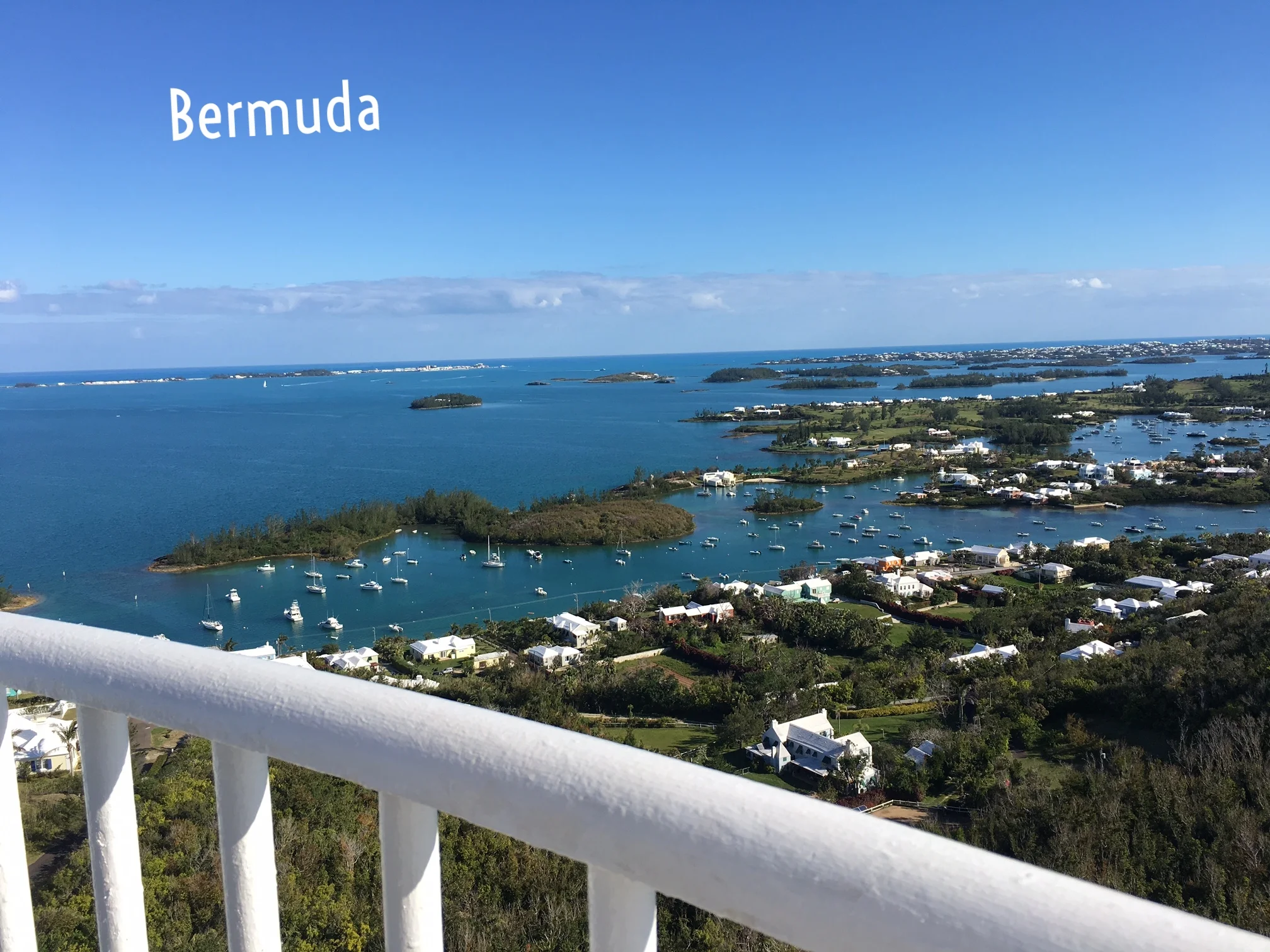 Bermuda11.jpeg