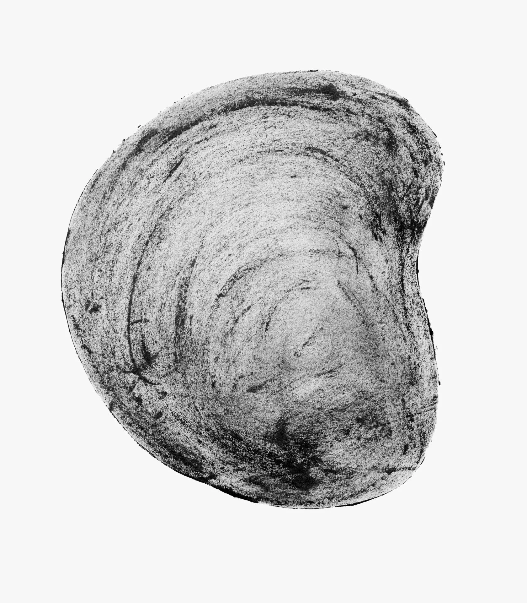 shape_26_003_007.jpg