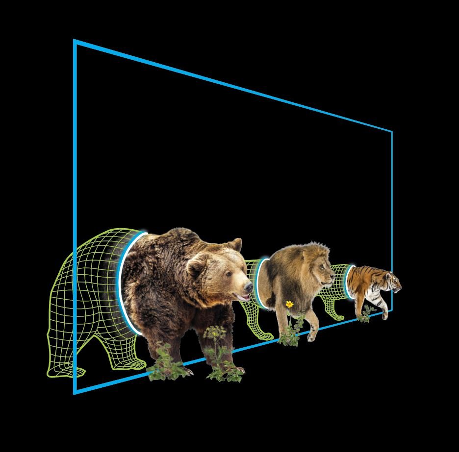 Virtual to Reality.JPG