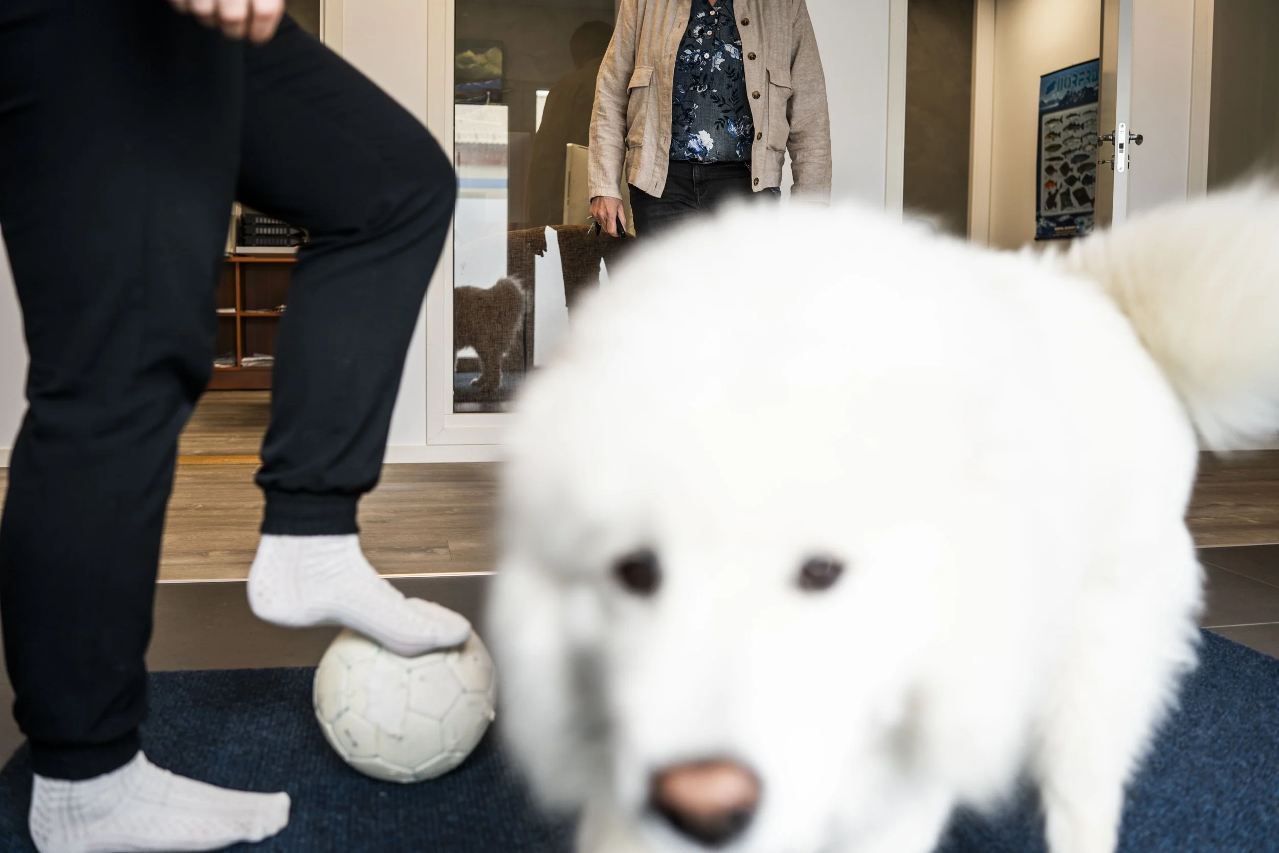 diverse_DAE.jpg