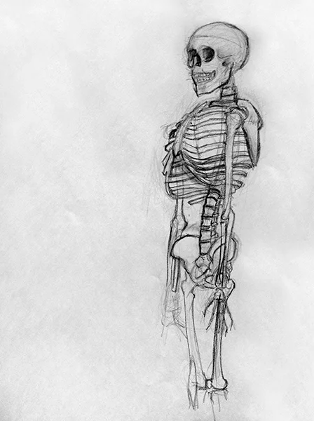 This guy was the best model at figure drawing. Always held still.