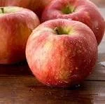 honey crisp apple picture.jpeg