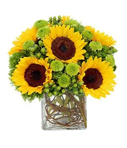 fall sunflower surprise.jpg