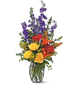 colorful sensation.jpg