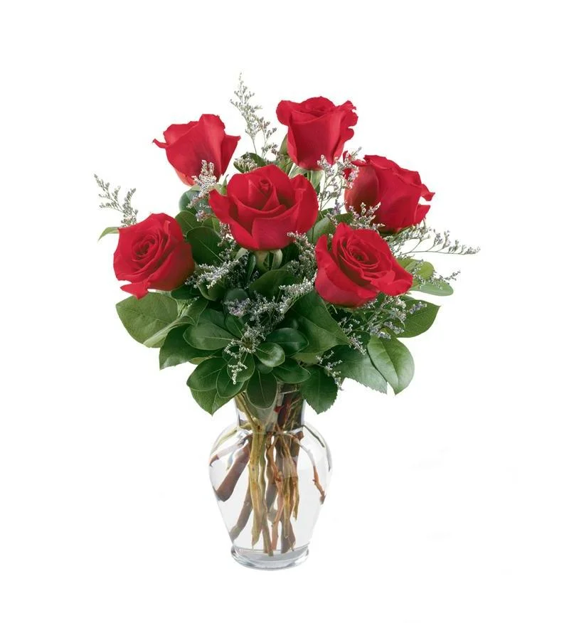 6REDROSEwb.jpg