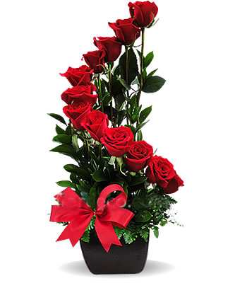 dozen-roses.jpg