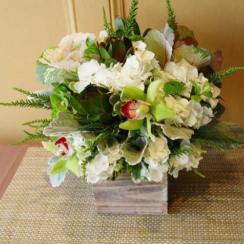 DSC08345.jpg