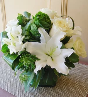 Apple Blossom's Pure Love.jpg