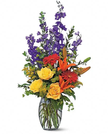 Colorful Sensation.jpg