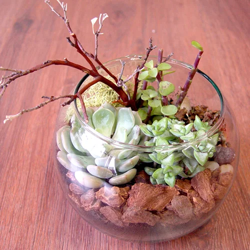 6 inch bubble bowl.JPG