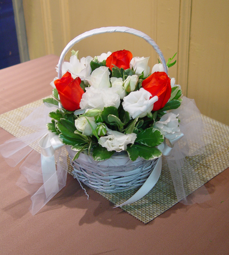 DSC08055.jpg