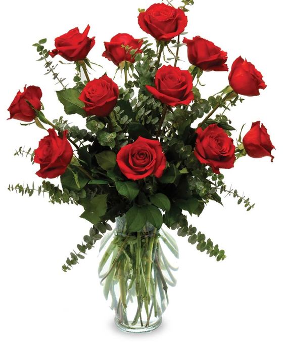 A dozen red rose.jpg
