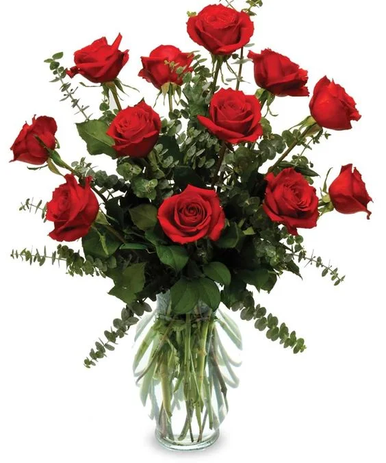 A dozen red rose.jpg