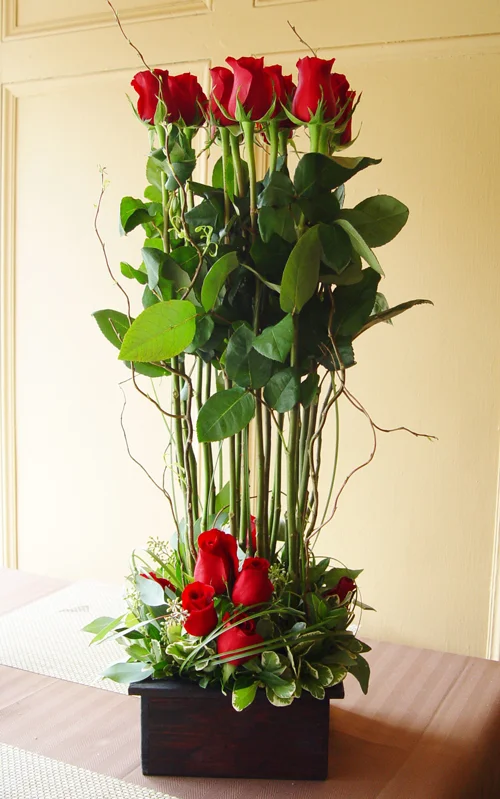 DSC07510-1.jpg